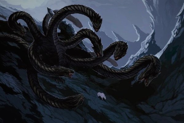Kraken 20at net